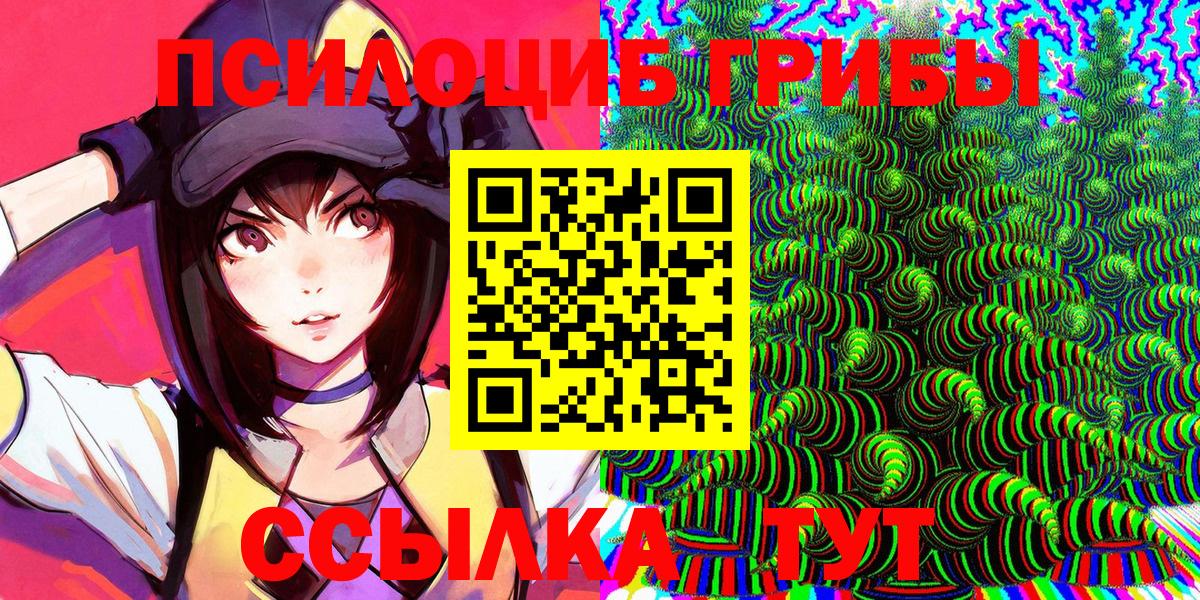 Галлюциногенные грибы Cubensis Кызыл