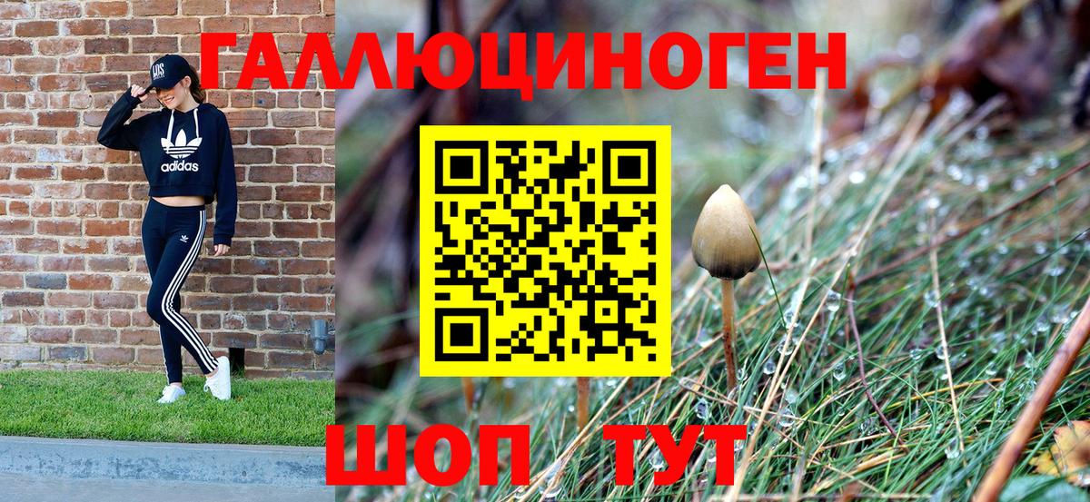 Кызыл  Галлюциногенные грибы Magic Shrooms  Вход с VPN 